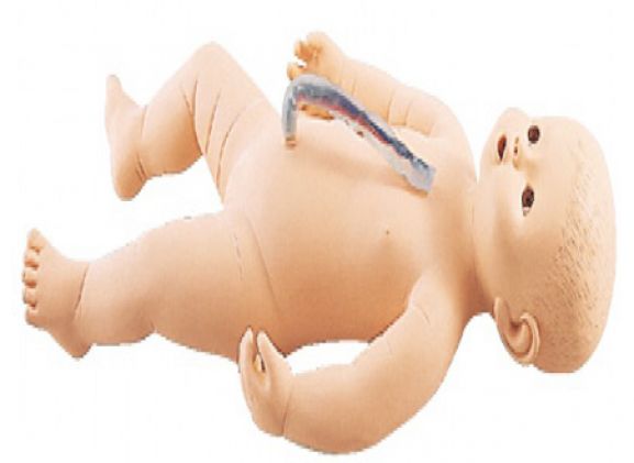 https://jayakelana.jayakelana.id/uploads/product/sakamoto-bayi-perempuan-m107-4--832713460d4a259_cover.png