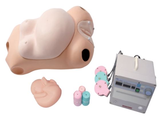 https://jayakelana.jayakelana.id/uploads/product/sakamoto-cardiotocograph-simulator-m191--3796317d2ae8673_cover.png