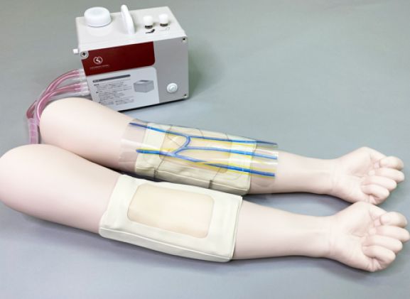 https://jayakelana.jayakelana.id/uploads/product/sakamoto-iv-injection-trainer-85370176ffb9f32_cover.jpg