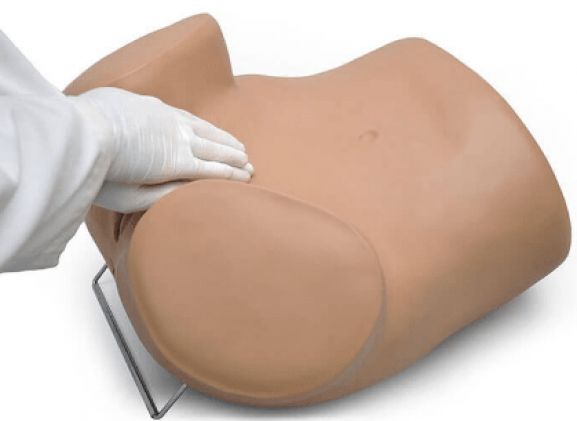 https://jayakelana.jayakelana.id/uploads/product/sima-gyn-aid-gynecologic-simulator-133601f6cfe360e_cover.png