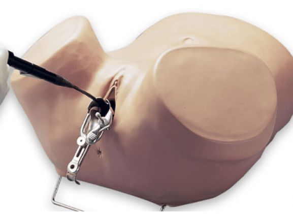 https://jayakelana.jayakelana.id/uploads/product/simulator-histeroskopi-s607--263359ce9a52b9f_cover.png