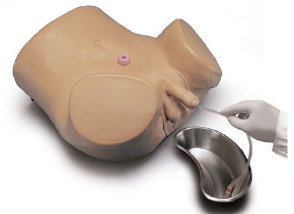 https://jayakelana.jayakelana.id/uploads/product/simulator-kateterisasi-pasien-lanjutan-640767d026ba3c8_cover.png