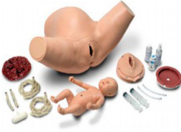 https://jayakelana.jayakelana.id/uploads/product/torso-pelatihan-anak-super-61269cfab35c19a_cover.png