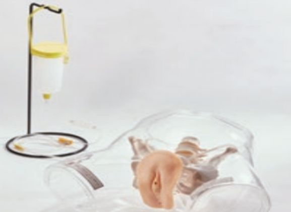 https://jayakelana.jayakelana.id/uploads/product/transparent-female-catheter-model-9987643ffdd9207_cover.png
