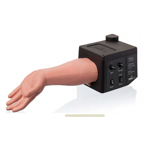 (ALT-10-L) ULTRTASOUND ARTERIALINE & ABG TRAINER 