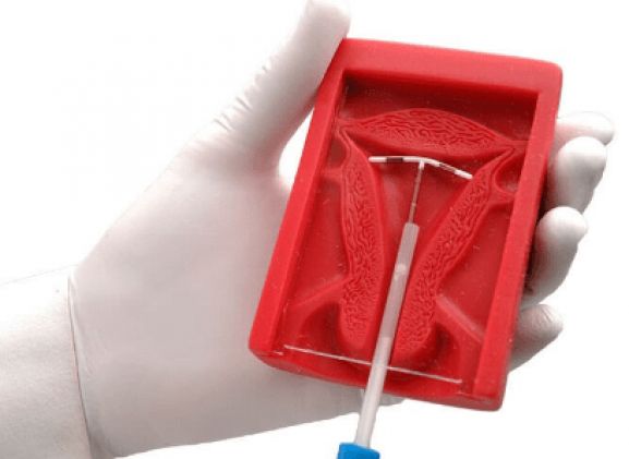 https://jayakelana.jayakelana.id/uploads/product/uterus-ii-iud-placement-13744b31b02c2be_cover.png