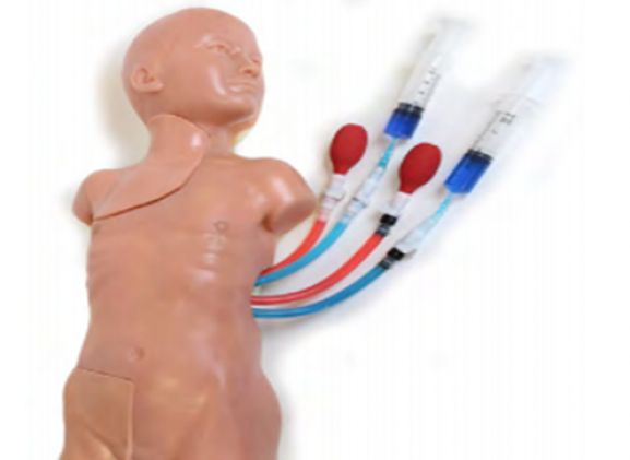 https://jayakelana.jayakelana.id/uploads/product/vascular-access-child-replaceable-19418979a20a7c9_cover.png