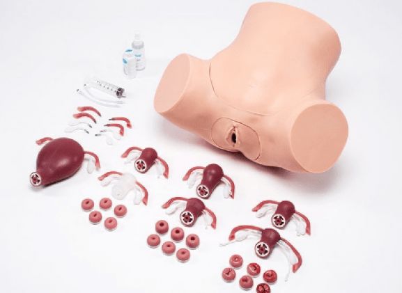 https://jayakelana.jayakelana.id/uploads/product/zoe-pelatih-keterampilan-375185c3d8b3cf5_cover.png